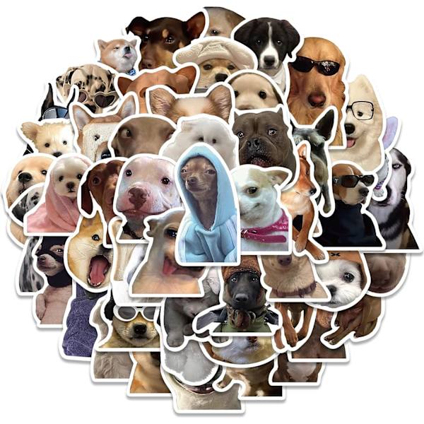 50 stk Sjove Dyr Hunde Meme Stickers til Laptop Vandflaske, Vinyl Vandtæt Graffiti Dekaler til Bagage Guitar Telefon, Voksne Teenagere Gave