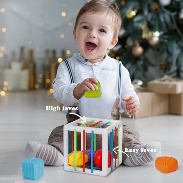 Aktivitet Kubform Klassificering Toddler , Montessori- baby 6-18 månader, sensoriska inlärningsleksaker Flicka Baby