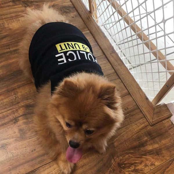 Pariser Pet Hund Kat Politi T-shirt Broderet T-shirt, S
