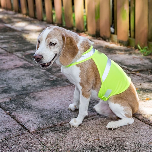 Høj synlighed sikkerhedsreflekterende hundevest til små, mellemstore og store hunde - Gul S