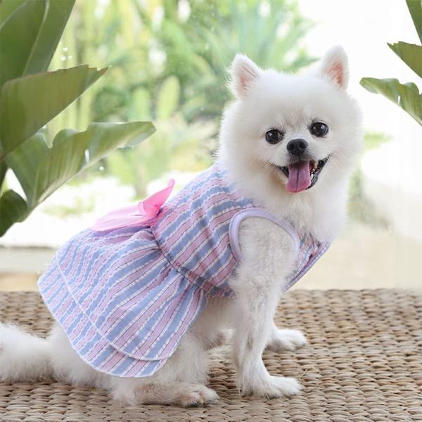 Små hunde pige sommer sød kæledyr hvalp kjole 4 pakke ekstra små hundeklæder outfit tøj kvindelig-S