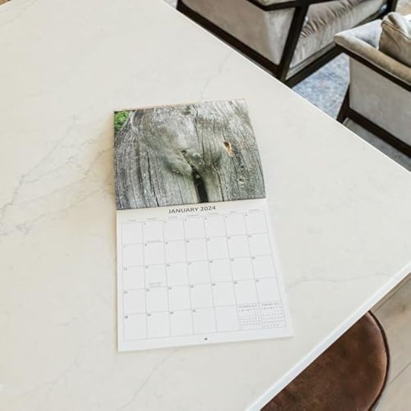 2024 Pooping Dogs Kalender Nyårs hundbajskalender -11,8*12,5 tum