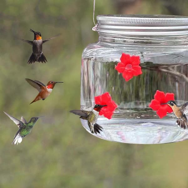 Fuglefoderautomat Hængende Blomst Kolibri Foderautomat Udendørs Skov Fuglefoderautomat Green