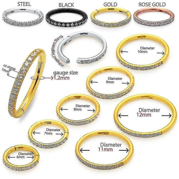 Multi Micro Setting Cz Stones Edge 16 Gauge - 6mm Diameter Guld Anodiseret 316l Kirurgisk Stål Clicker Hængslet Segment Ring Piercing Smykker