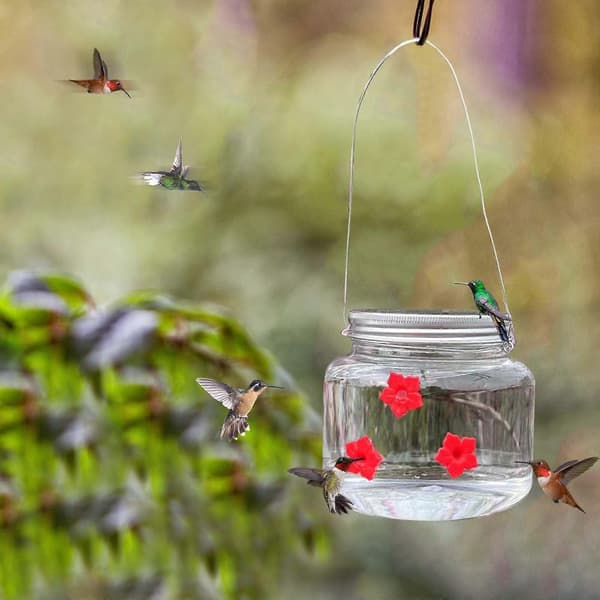 Fuglefoderautomat Hængende Blomst Kolibri Foderautomat Udendørs Skov Fuglefoderautomat Green