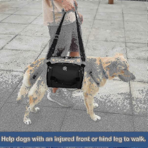 Nødtransportrygsæk til kæledyr - Blød slynge til små hunde med mobilitetsproblemer (sort) M