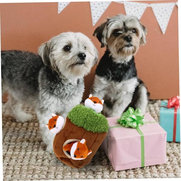 4 st husdjur leksak tandvård leksaker för valpar valp hund tandborste tassar gömma och söka hund gräva leksaker hund plysch leksak hund söka plysch leksak hund pip leksak plysch