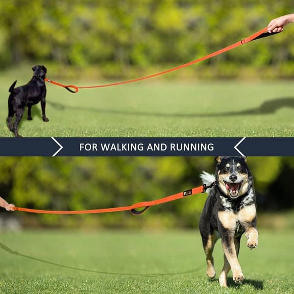 Dog Leash 6ft Long, Traffic Padded Two Handle, Heavy Duty, Reflective Double Handle for Control Safety Training, Leash for Large Dogs Orange 6FT