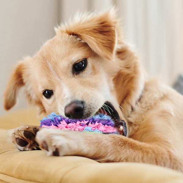 Snuffle-måtte til hunde, fodermåtte til hunde, næsearbejdsmåtter til søgeinstinkt, interaktivt puslespil, legetøj, blå, lilla og pink