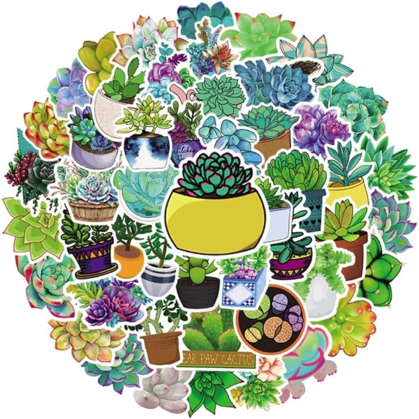 50 st gröna suckulentväxter klistermärken Botaniska klistermärken för DIY-dekorationer för vattenflaskor, bärbara datorer, telefoner, scrapbooking, journalföring, muggdekaler