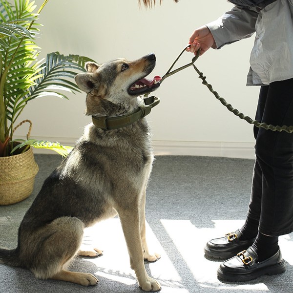 Tactical Dog Collar - Militärhundhalsband med Says I M Special-Svart koppel