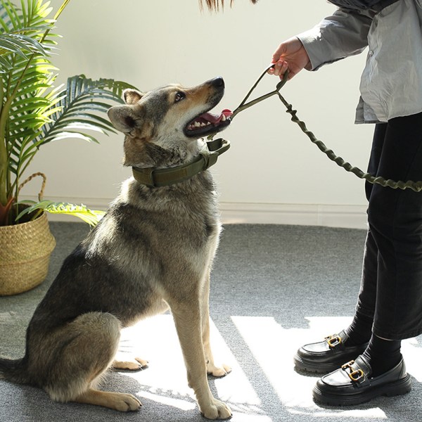 Taktisk hundhalsband - Militärhundhalsband med texten I M Special-Svart koppel