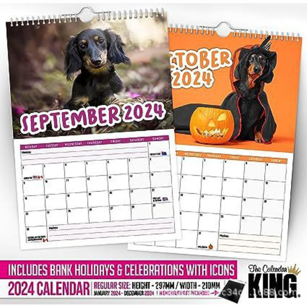 Cheeky Dachshunds -paksu ihoinen mäyräkoirakalenteri hauska eläinkalenteri vuosina 2024-21,5*29*0,5cm