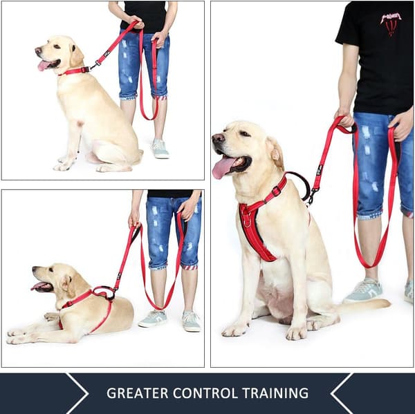 Dual Handle Dog Leash 6ft, Traffic Padded Two Handles, Heavy Duty, Reflective Dual Handle Dog Leash for Control Safety Training, Red 6FT