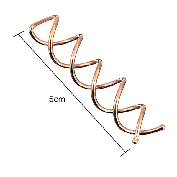 20 Spiralhårnålar Twist Clips Runda Hårklämmor Hårstyling Spiral För Diy Hårstyling Nålar Twist Clips-Rose Gold