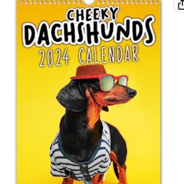 Cheeky Dachshunds -paksu ihoinen mäyräkoirakalenteri hauska eläinkalenteri vuosina 2024-21,5*29*0,5cm
