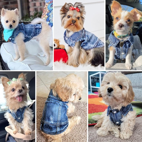 Hund Jeansjacka, Blå Denim Krage Väst Rock Söt Flicka Pojke Hund Valp Kläder, Komfort och Sval Kläder, Maskintvättbara Hundkläder (M, Blå)