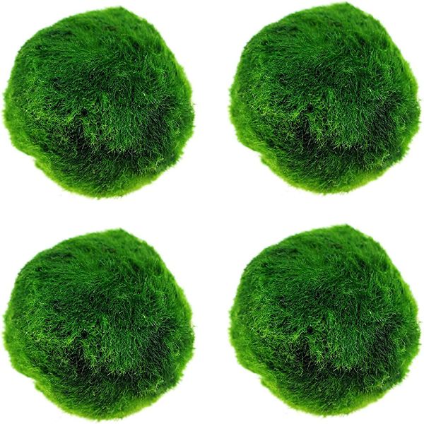 4 st Akvariemossbollar, levande akvarieväxter grön moss dekorativ boll för fiskakvarium prydnader