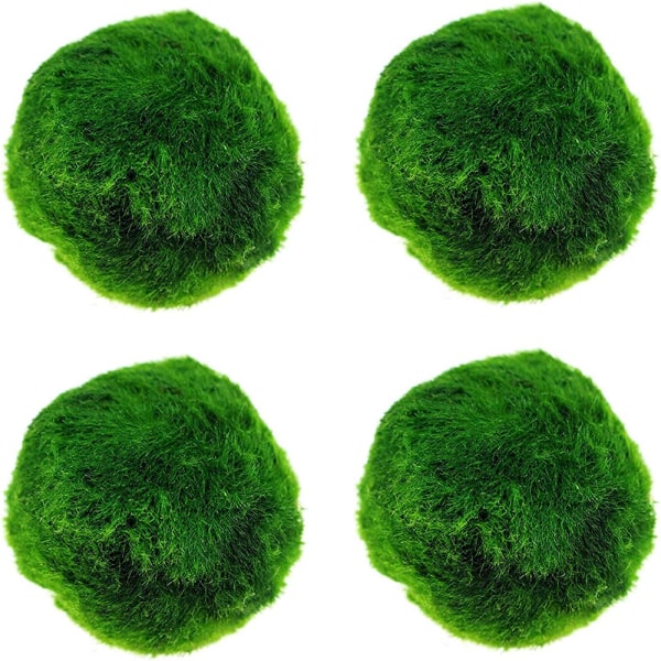 4Pcs Aquarium Moss Balls,Live Aquarium Plants Green Moss Decorative Ball For Fish Tank Ornaments