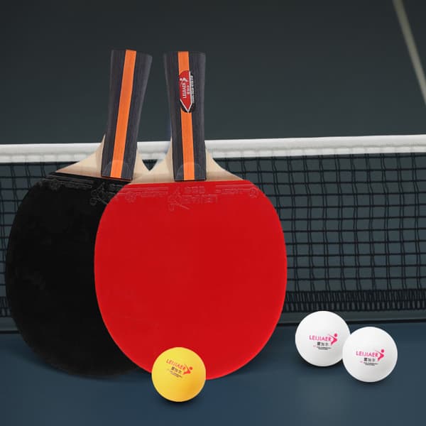 Bordtennisset för 2 spelare med 2 racketar, 3 bollar och bärväska