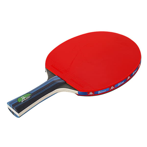 Bordtennisbat sæt til 2 spillere med 3 bolde og opbevaringstaske