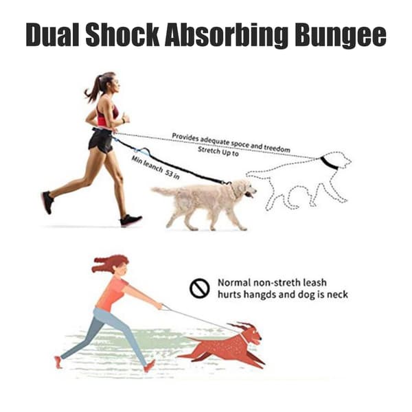 Handsfree hundsele med reflekterande blixtlåsficka för utomhuslöpning och promenader.