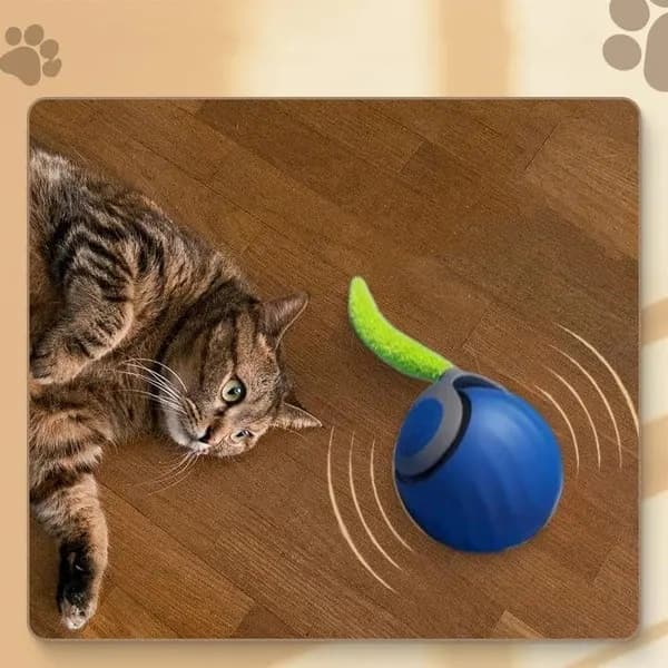 Katt- og hundeball – Interaktiv elektrisk leke med hale, innendørs lek, blå