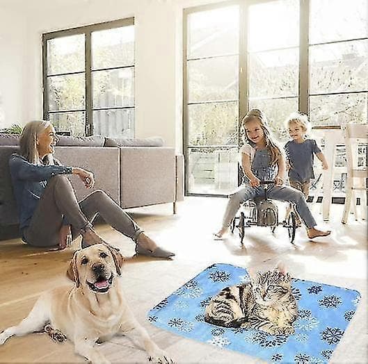 Kjølematte for kjæledyr, kjølematte for hunder, kjølematte for katter (30*40cm)