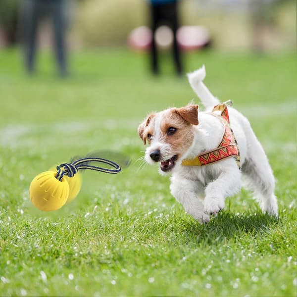 Rolig och interaktiv hundleksak, rullande boll, hållbar flytande vattenboll, hundträning.