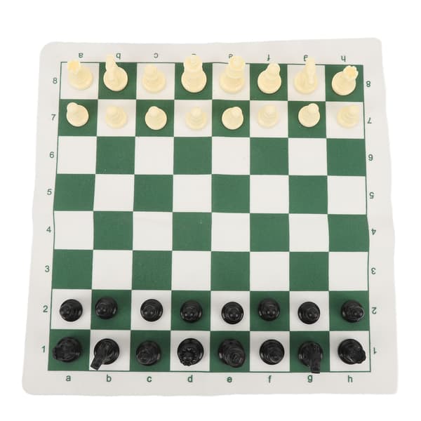 Bärbart schack- och damspel med rullbricka och grön förvaringsväska