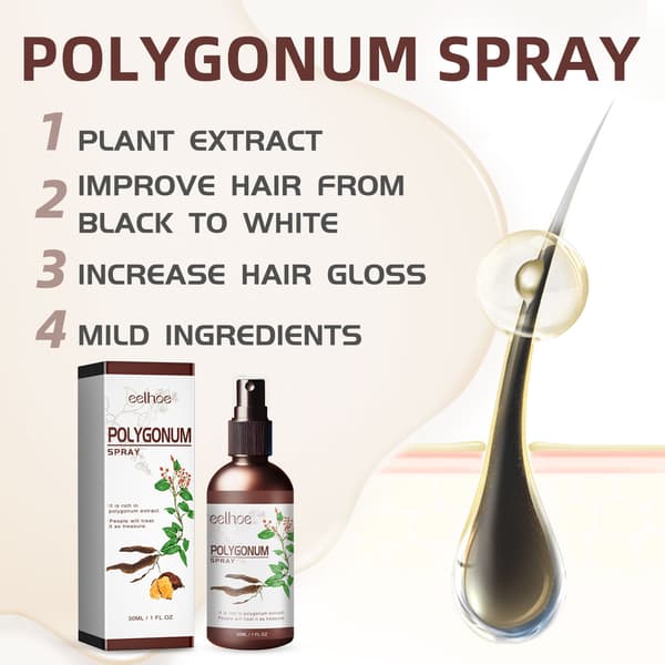 1-3 flasker (30 ml) ingefær- og Polygonum Multiflorum-essens – ren urteformel: lysner grått hår og nærer/styrker hårrøttene 2pcs