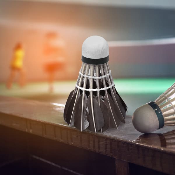 12 Andefjer Badmintonbolde med Opbevaringsrør til Indendørs/Udendørs Træning