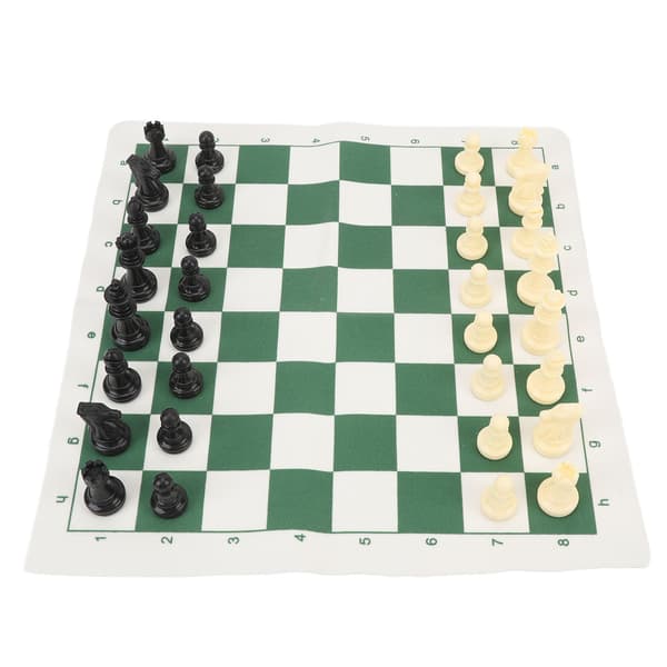 Bärbart schack- och damspel med rullbricka och grön förvaringsväska