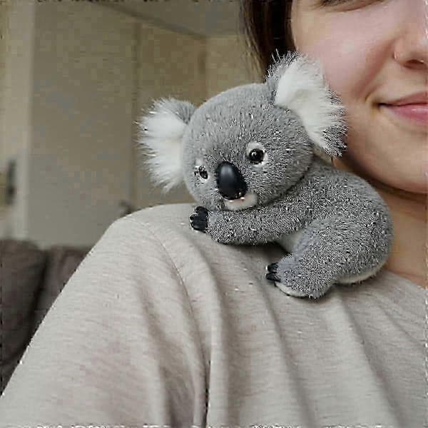 Koala-plysjleker som lindrer angst og trøster sjelen