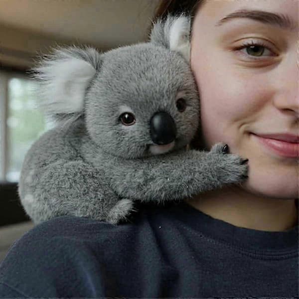 Koala plyslegetøj, der lindrer angst og trøster sjælen
