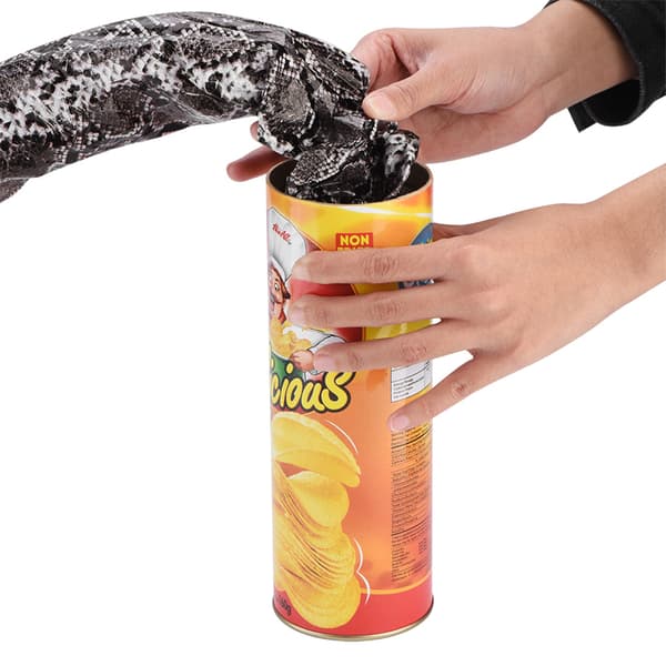Chip Can Trick Toy med fjäderbelastad orm för roliga spel och fester