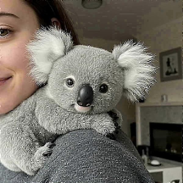 Koala-plysjleker som lindrer angst og trøster sjelen