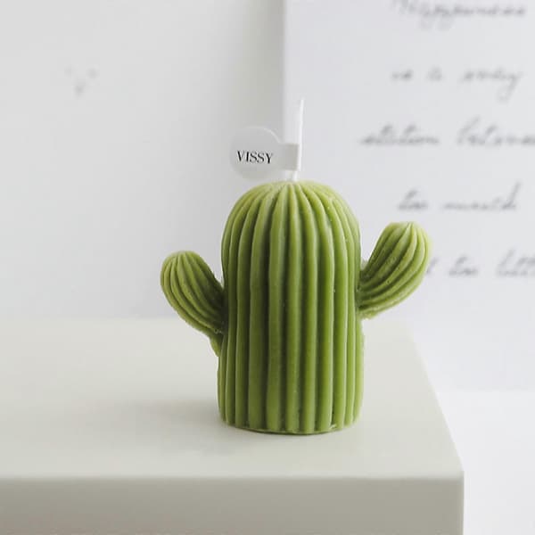 Lille kaktuslys duftende vokslys aromaterapi sukkulent ornament