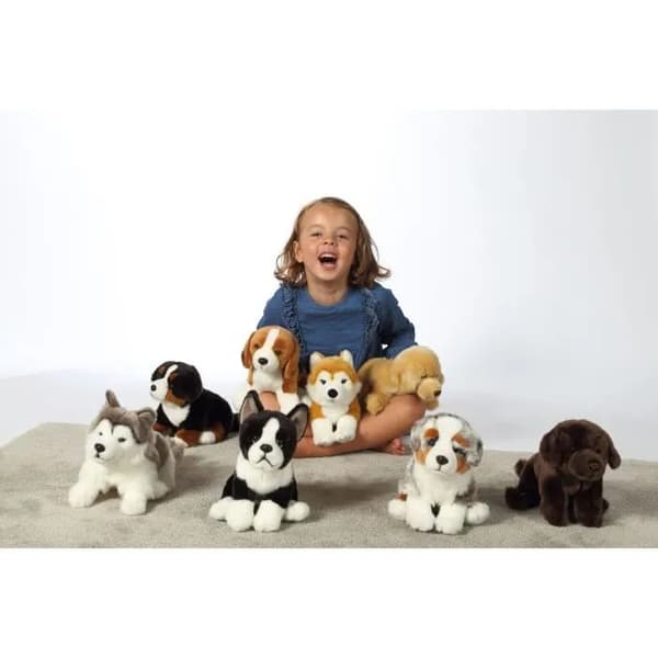 Berninpaimenkoira pehmolelu - GIPSY TOYS - Istuva asento, 25 cm