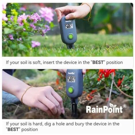RAINPOINT Digital Jordfuktighetsmåler, Plantesensor, Jordfuktighet Temperatur