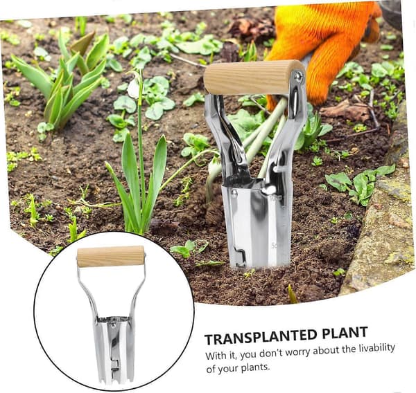 Frøtransplanter i rustfritt stål med ergonomisk trehåndtak, egnet for omplanting av blomster og grønnsaker.