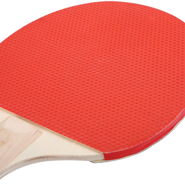 Bärbart bordtennisnätset med racketar och bollar, pingistillbehör