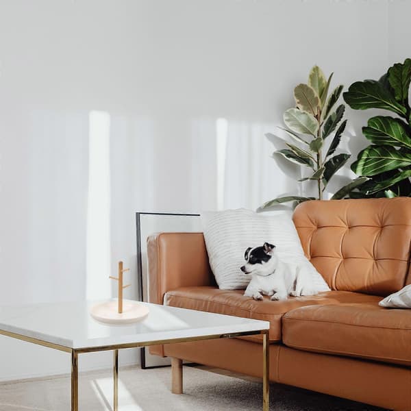 Bordstativ for smykker, nøkkelstativ, smykkedisplaystativ, oppbevaringsbrett for hodeplagg