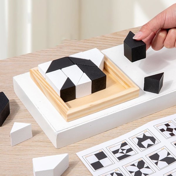 Educational Building Blocks Toys, Patterned Building Blocks, Hidden Block Puzzles, Develop Thinking Ability, Train the Brain and Challenge Puzzle Building Blocks.
