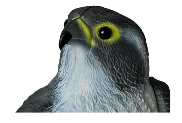 Variksenpelätin Kotka - Karkottaa linnut