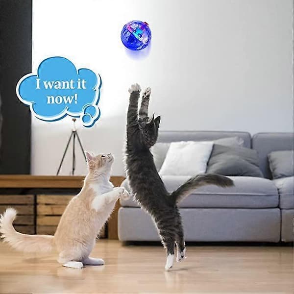 Ghost Hunting Ball Activated Toy Interactive Pet Luminous Transparent Plastic 3PCS