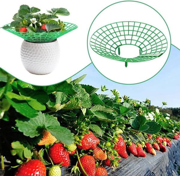10-pack Strawberry Stands, Stand Planters, Strawberry Growing Stands 10 pcs.