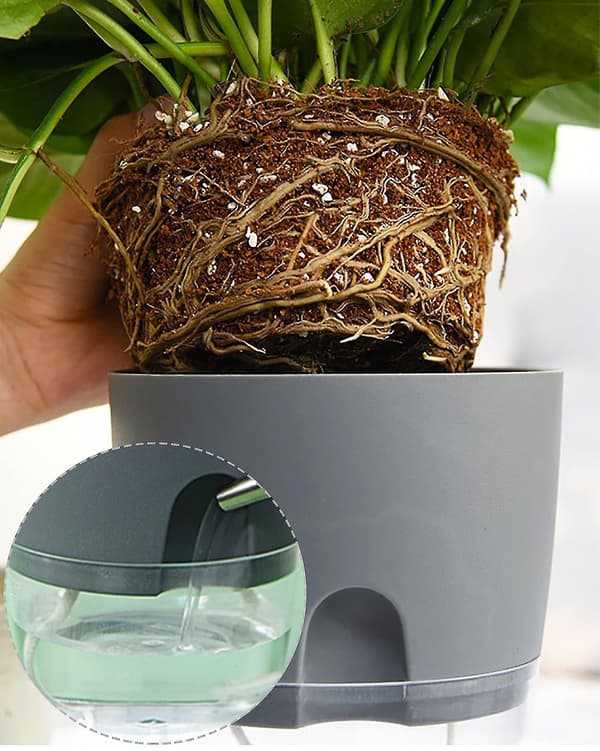 Herb Garden Set for Kitchen, Self-Watering Three-Piece Set for Windowsills, Create a Herb Garden in Your Kitchen. Dimensions: 18.2 x 11 x 15.3 cm, Grey.