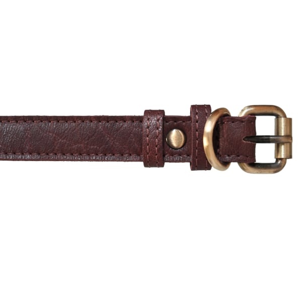 Hundhalsband i äkta läder (XS-XXL) Brown Brun - S