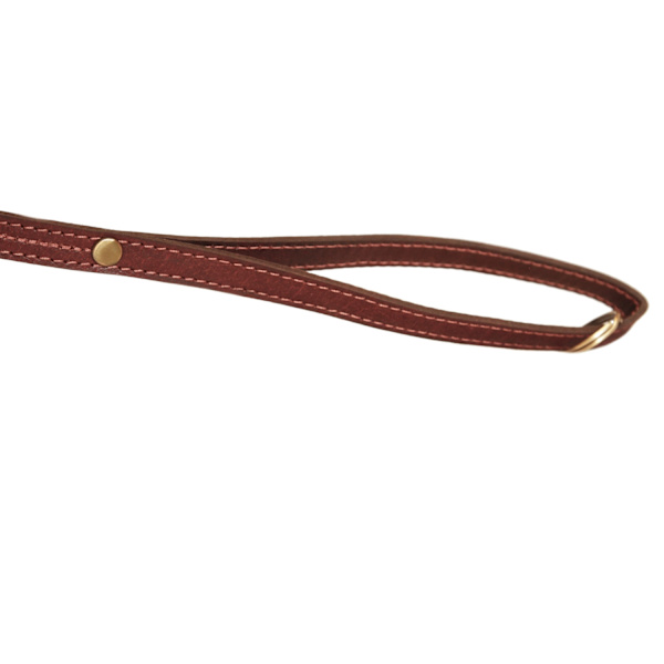 Hundkoppel och halsband set i äkta läder (XS-XXL) Ljusbrun
